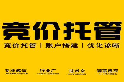 搜索引擎营销（SEM）广告的五大经典案例